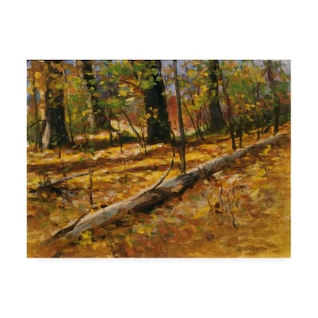 Michael Budden 'Autumn Collage' Canvas Art,18x24